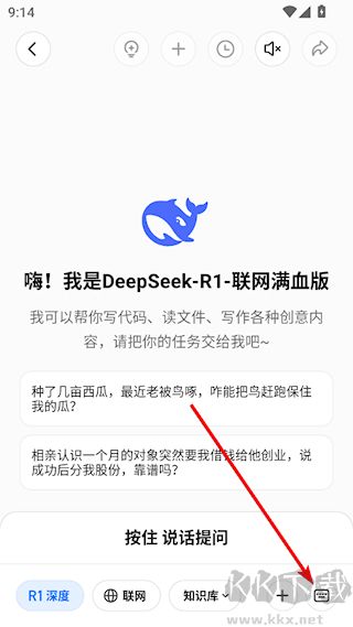 AIDeepSeekѪ