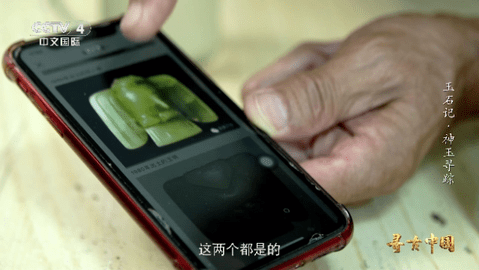 落叶电视高清免费版
