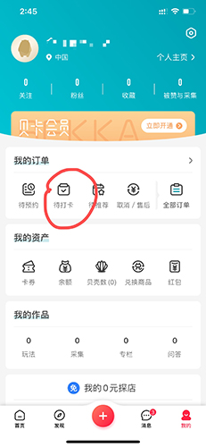 彩贝壳安卓版