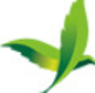 炮茶视频在线观看高清福利版