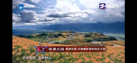 中国蓝tv