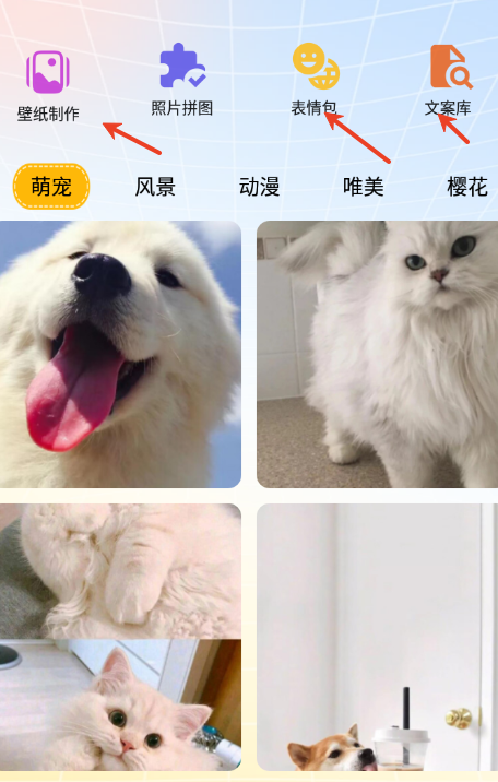 趣美壁纸大全