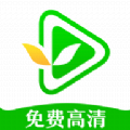 绿叶影视去广告版