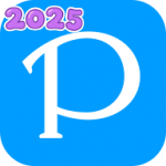 proburn pro中文版免费2025下载安装(pixiv)
