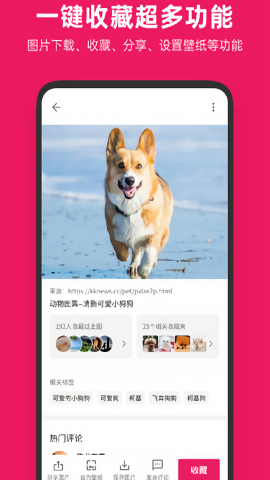 图片搜搜最新版本 v5.3.3