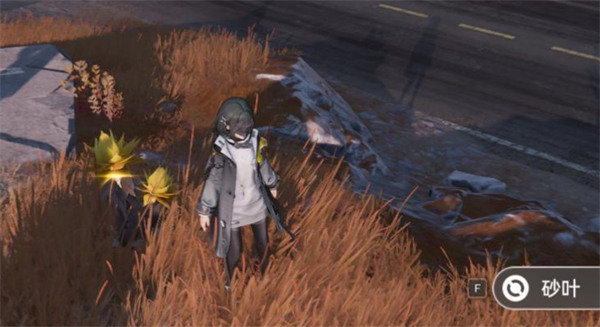 明日方舟终末地砂叶位置获取方法一览2