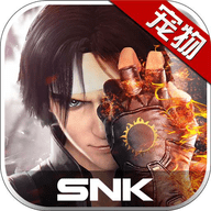 拳皇世界九游版 1.8.8