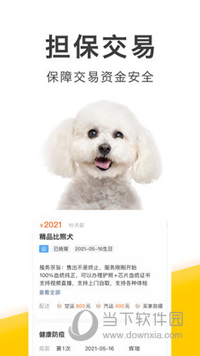 买只宠物APP