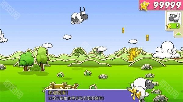云和绵羊的故事