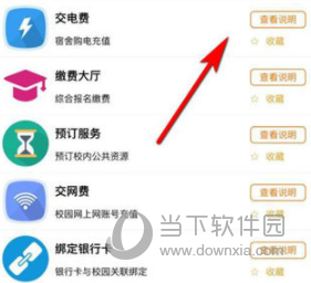 小灵龙