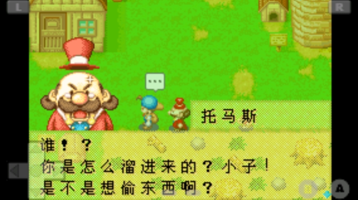 牧场物语矿石镇的伙伴们最新版下载 v2.0