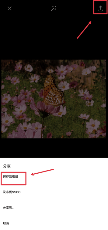 VSCO相机