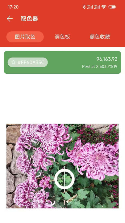 掌上小帮手app手机版下载图片1