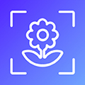 识物君软件 v5.0.3