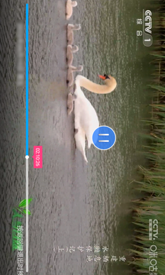 飞蚁TVapp免费版截图