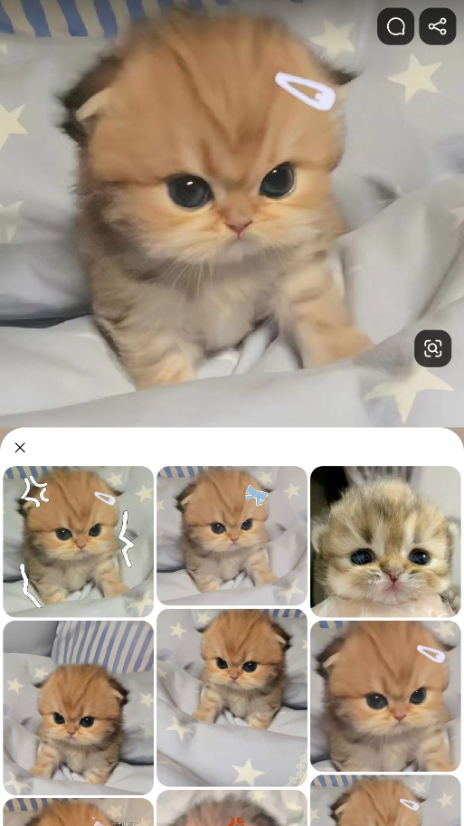 pinterest极速版 v13.14.0