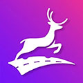上鹿学车app v3.0.1