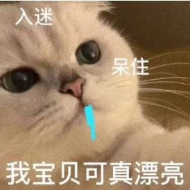 万能表情包