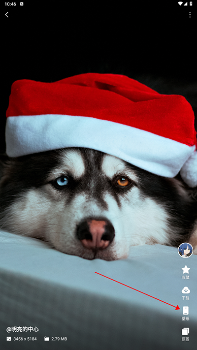 汽水壁纸app最新版本