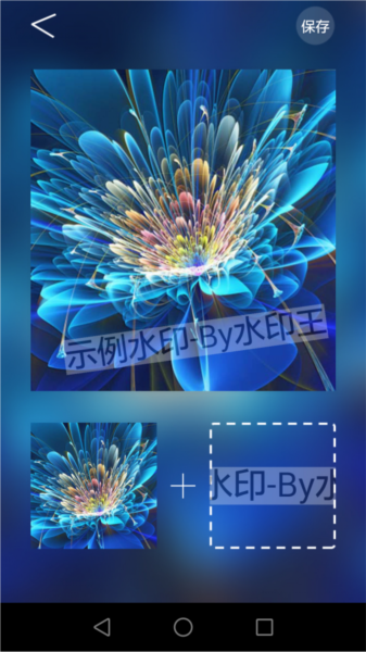水印王app2
