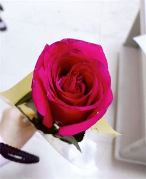 抠图放在另一张图上教程截图1