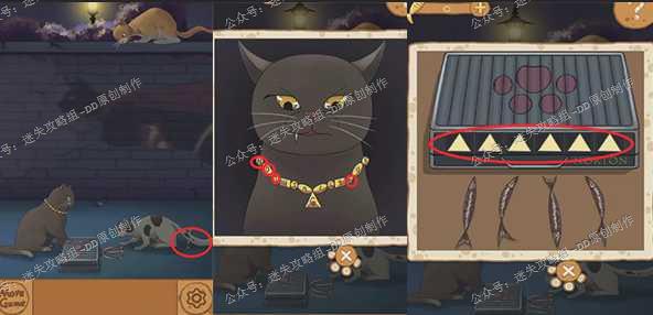 流浪的橘猫侠