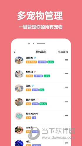 宠物王国