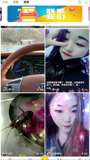 斑马直播