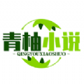 青柚小说阅读器 V1.1.102
