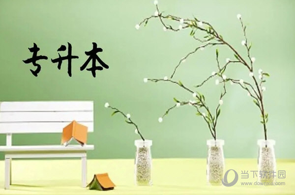 金标尺专升本