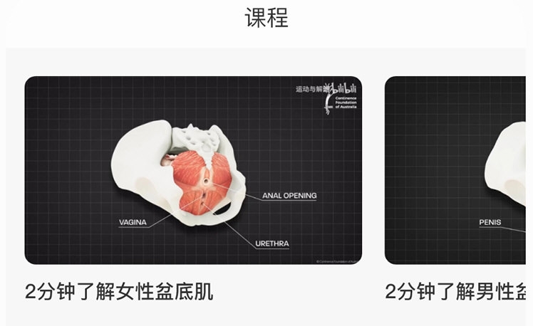 凯格尔训练