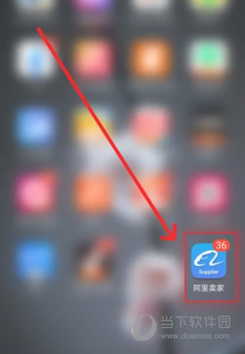 阿里卖家