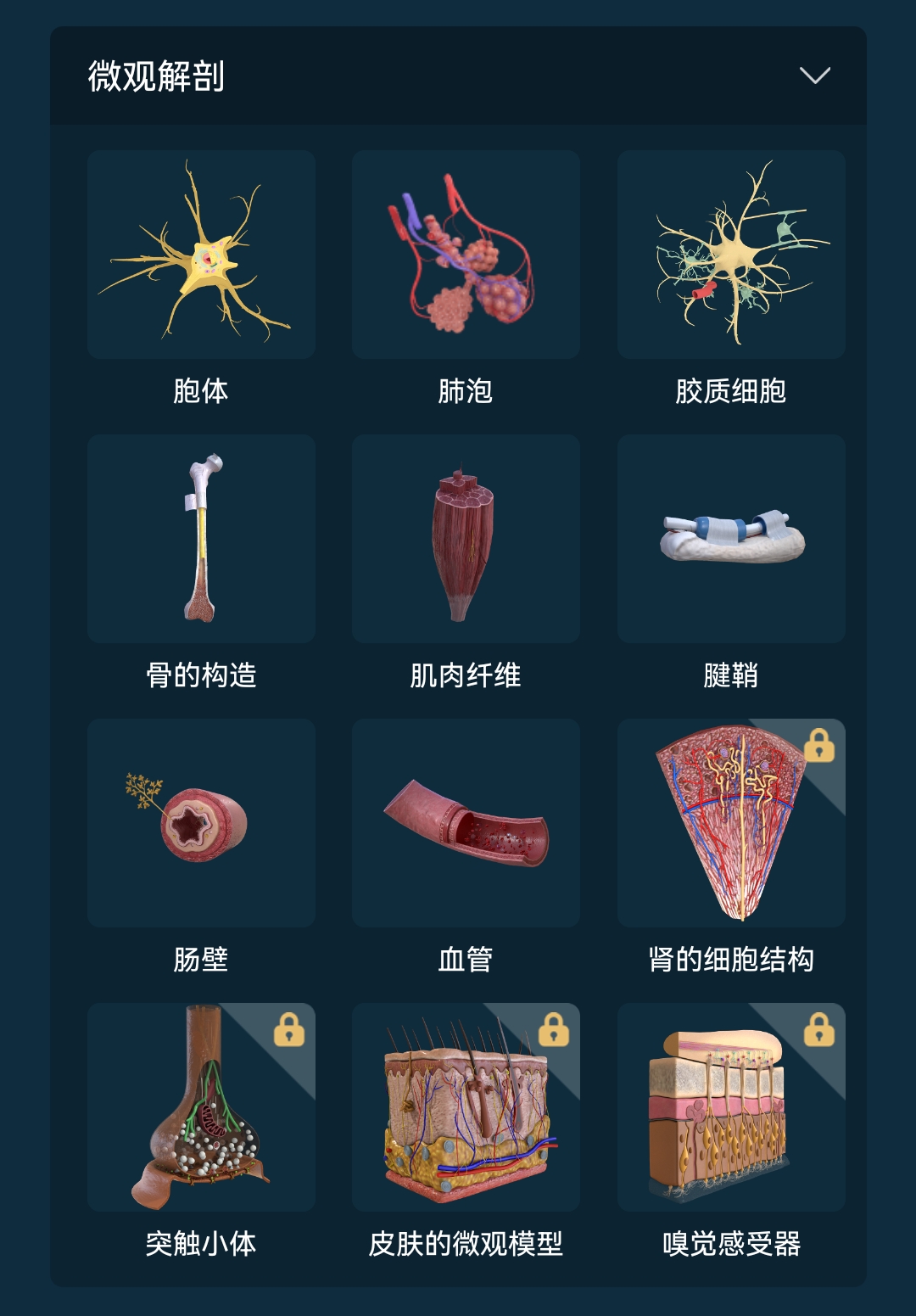 怎么操控模型截图3