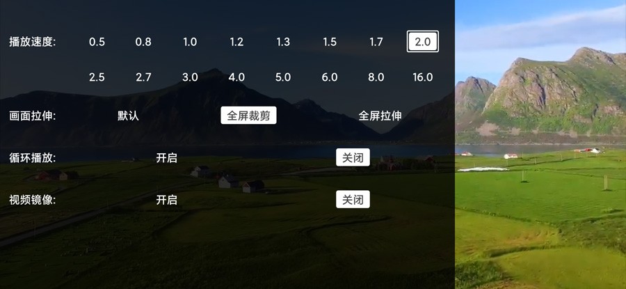 Alook DLNA投屏app官方下载安装截图