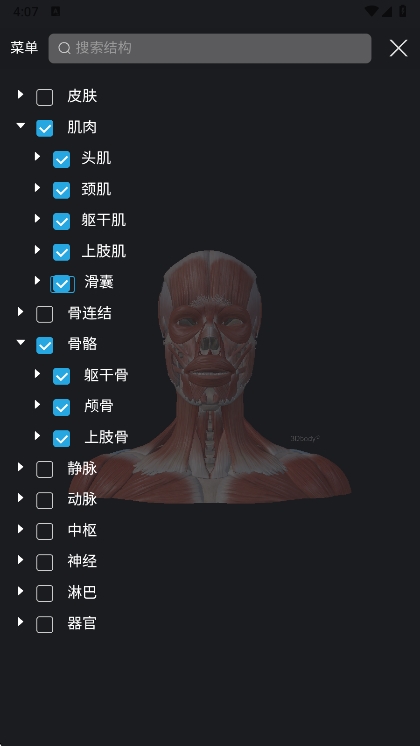 怎么看不见肌肉配图1