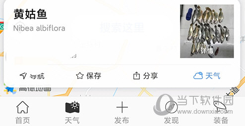 渔获钓点信息