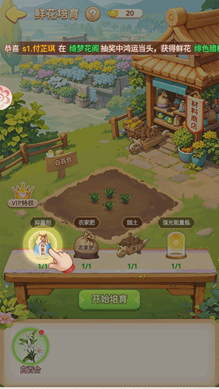 我的花园世界国际服