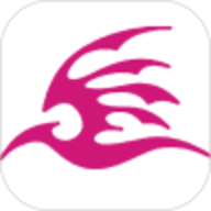 飞极速手机在线免费软件