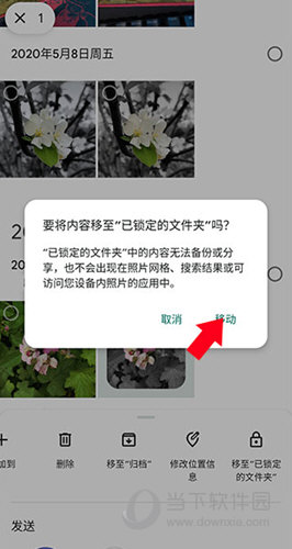 谷歌相册最新版