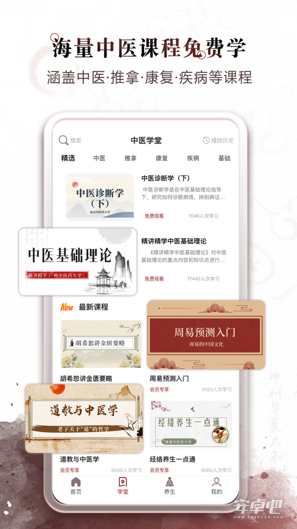 中医经络穴位