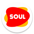 灵魂浏览器最新手机国际版(soul browser)V1.4.48 安卓官方版