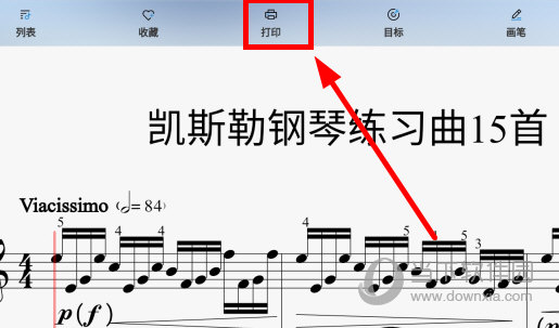 快乐斑马