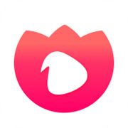 哩咔直播app官网