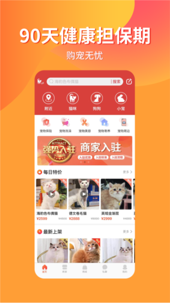 宠物市场图片1