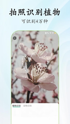 北极花生物调查软件宣传图11