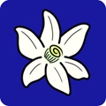 Azahar 3DS模拟器 v1b70dfe-googleplay