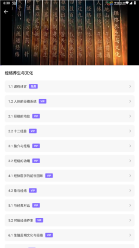 中药词典6