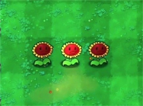 植物大战僵尸内讧版