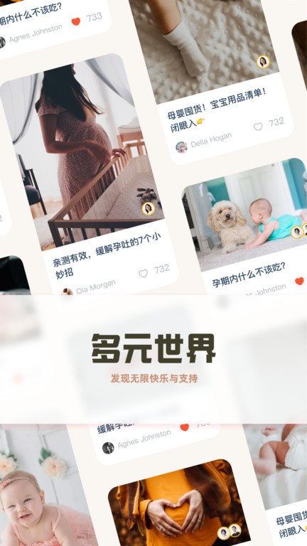 元贝贝(元贝壳)