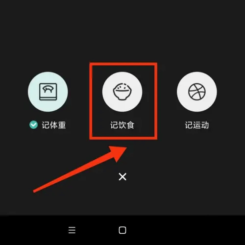 饭橘6